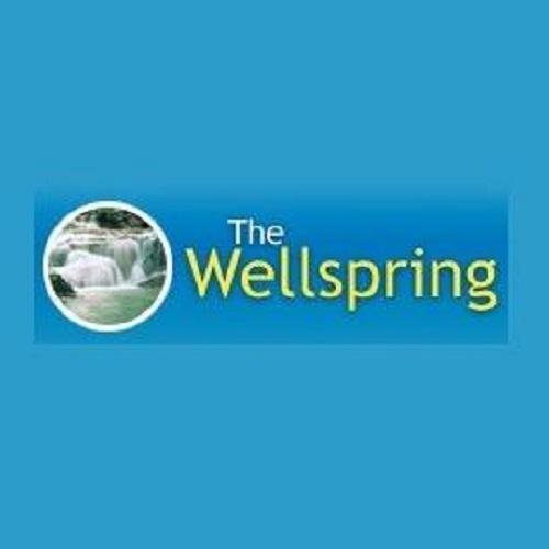 The Wellness Spring