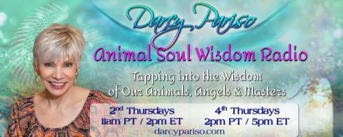 Animal Soul Wisdom Radio: Tapping into the Wisdom of Our Animals, Angels and Masters with Darcy Pariso : Encore: Animal Reiki with Kathleen Prasad!