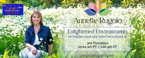 Enlightened Environments with Annette Rugolo: Optimizing Your Life From the Outside In: Is Your Environment Supporting You or Depleting You