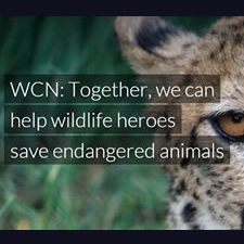 Wildlife Conservation Network